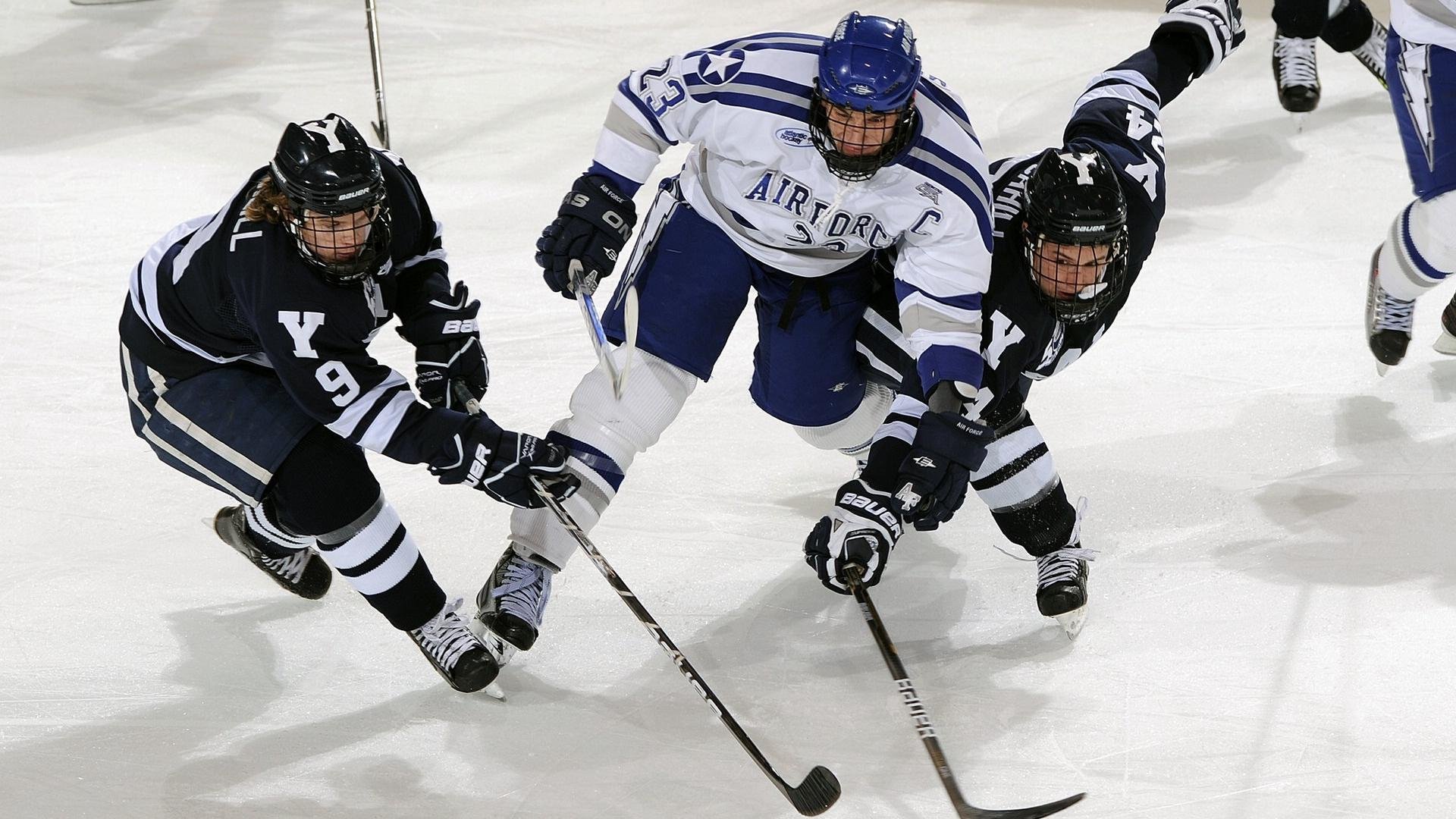 体育新闻中心承办全国高校体育内容创作交流季，大学体育文化节新闻稿